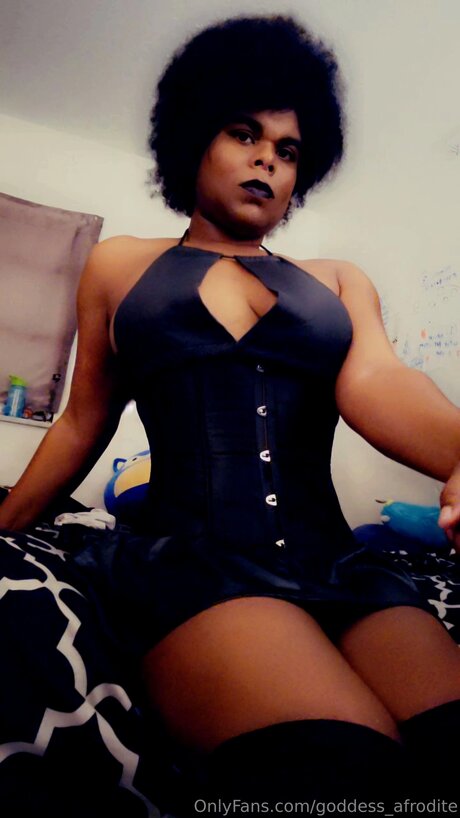 dildo reiten nur fans kunst fotos