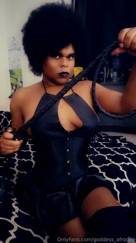 riesenschwanz shemale onlyfans erwachsene perfekte archiv