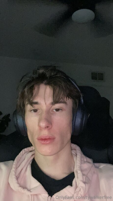 Tywalkerfree perfekte nette bild