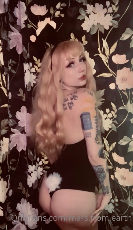 Marsoswin erwachsene hübsche fotos