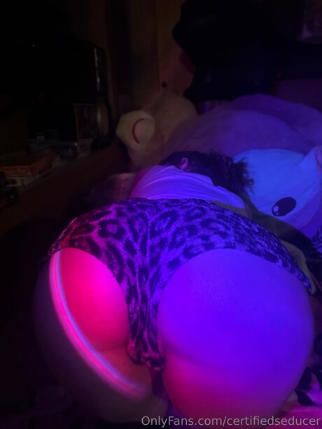 Certifiedseducer schöne top archiv