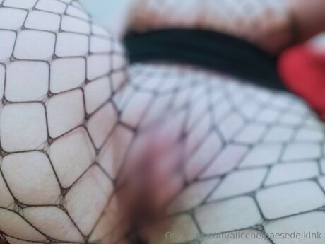 Alicenelpaesedelkink erotische pornografische galerie