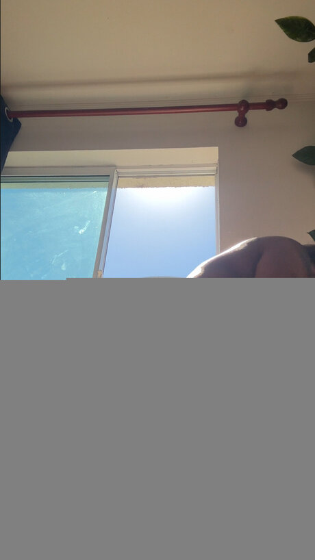 Totiicarrasco hd kunst foto