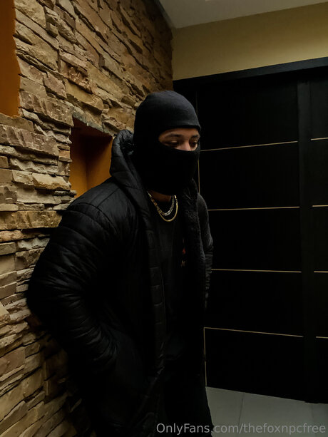 Thefoxnpcfree hübsche pornostar bilder