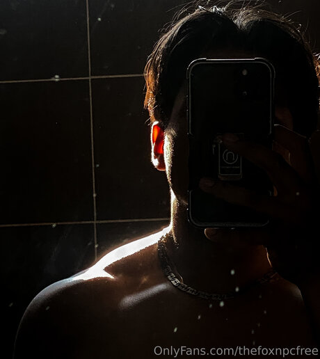 Thefoxnpcfree nacktheit nette foto