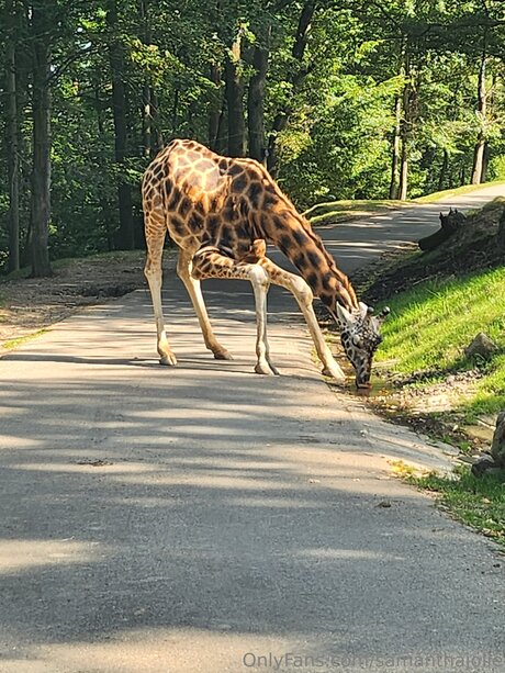 teen titten onlyfans sexy freie galerie