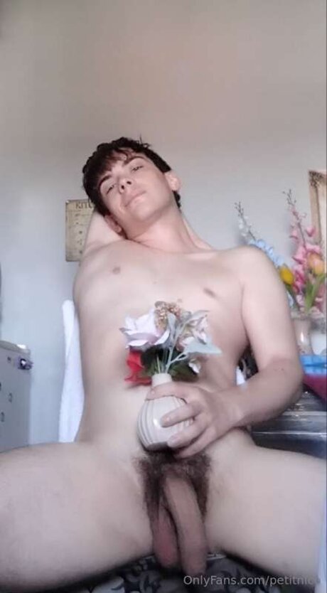 Petitnico Fotoaufnahmen