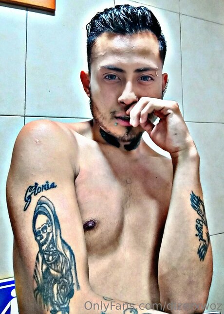 Dizerxwoz beste top galerie