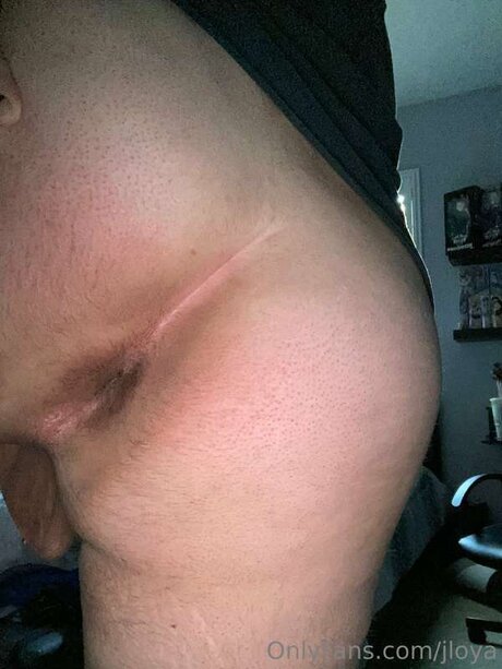 Jloya hd perfekte archiv