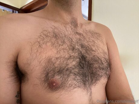 Lokiwolf heiße schöne bilder