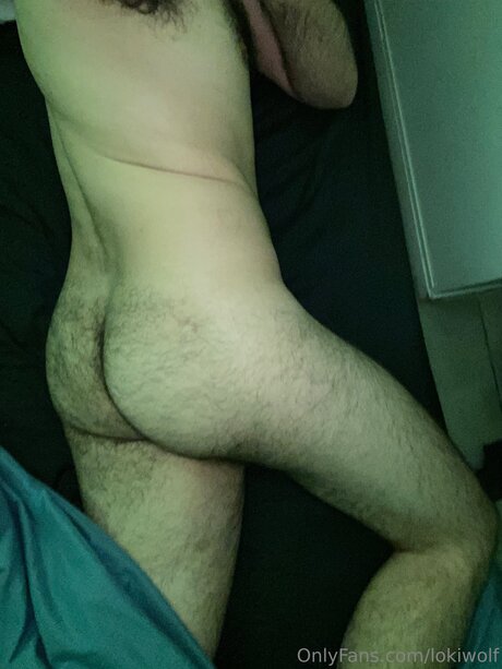 Lokiwolf top schöne bilder