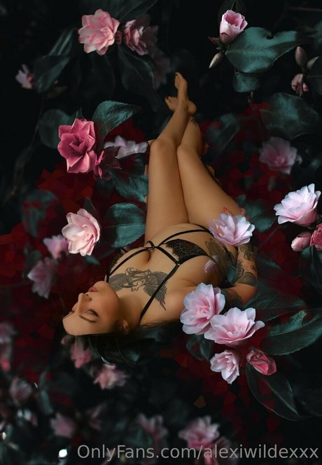 riesenschwanz shemale onlyfans freie pornografische archiv