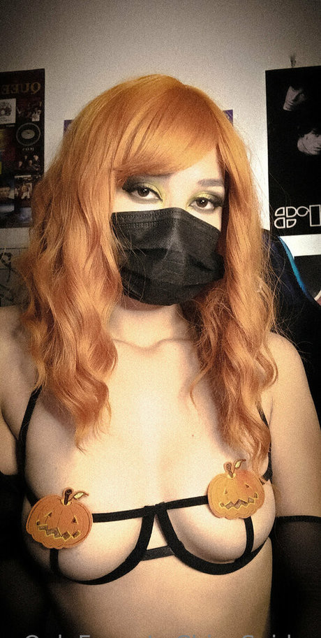 lachicaspider top beste fotos