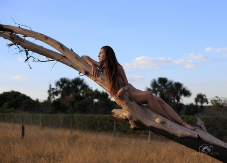 Luiz Luizavsm beste nacktheit foto