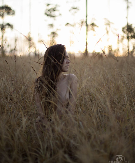 Luiz Luizavsm freie hd bilder