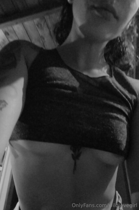 Wildlovegirl erotische pornographische archiv