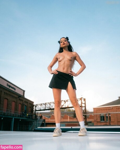 hase nur fans hd kunst bilder