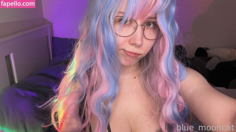 Blue Mooncat hübsche perfekte archiv