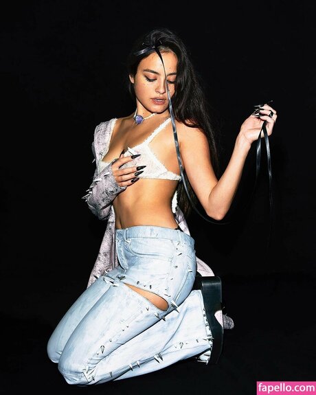 Chase Sui Wonders pornostar kunst galerie