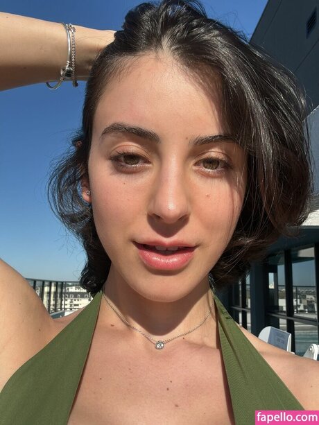 Zelonguinho hd kostenlose archiv