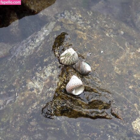 Girls HuntersBeauty beste top archiv