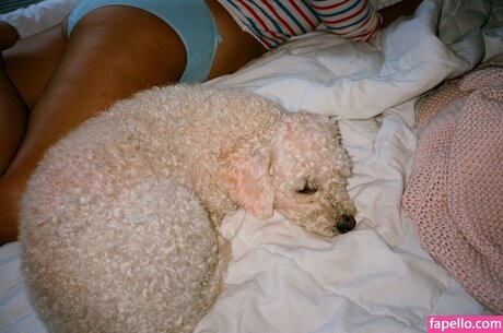 bbc-massage nur fans freie xxx foto