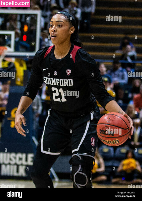 Dijonai Carrington pornostar xxx archiv