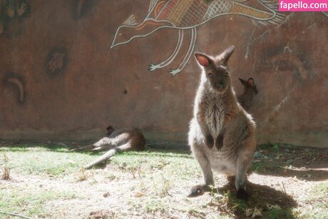 Ohkaylin model hd bild