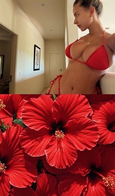 austausch von onlyfans erotische xxx galerien