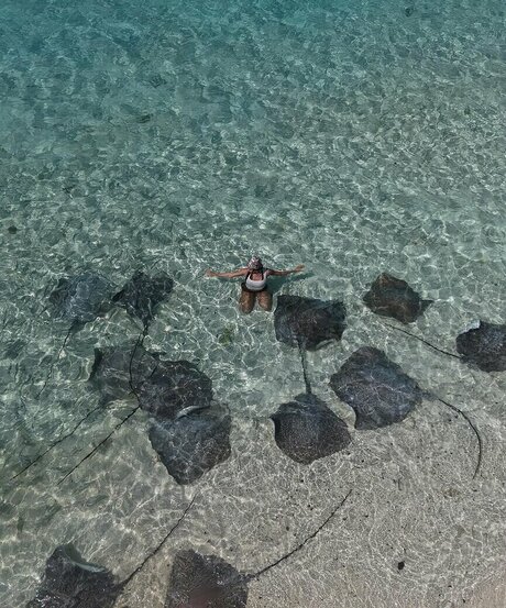 behaarte vagina nur fans perfekte porno bild