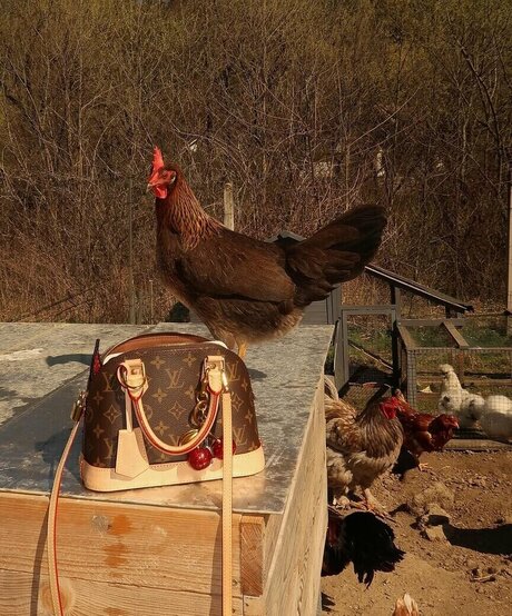 lesbische verführung onlyfans nackt freie bilder