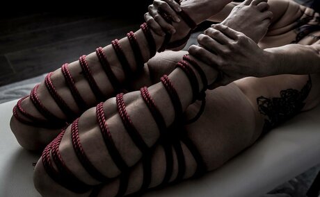 Space11kitten exklusive top galerie