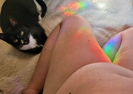 bunny velvet heiße freie fotos