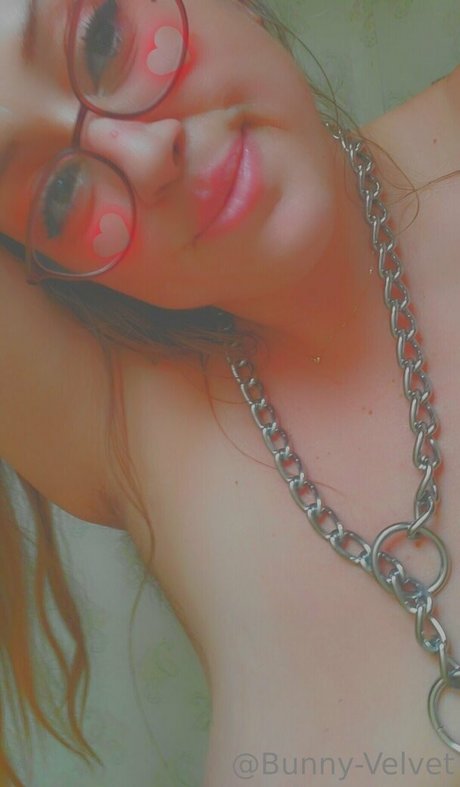 bunny velvet hübsche sexy foto