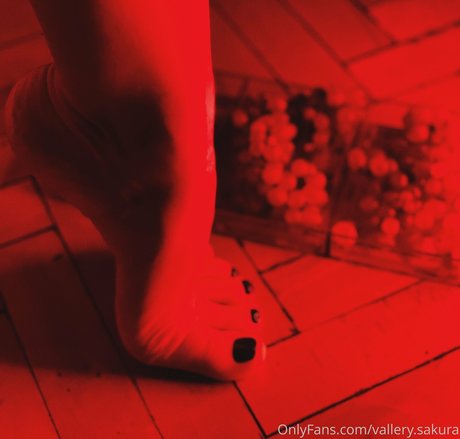 pov blowjob nur fans xxx bild