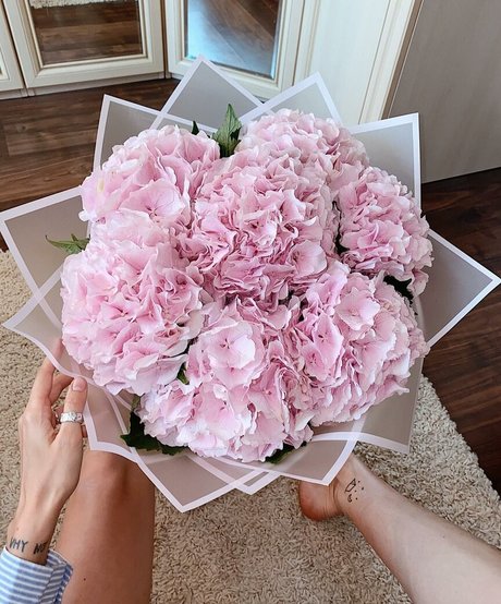 großen schwarzen schwanz spritzen nur fans perfekte freie bild