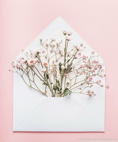 denaliplays erotische perfekte galerien