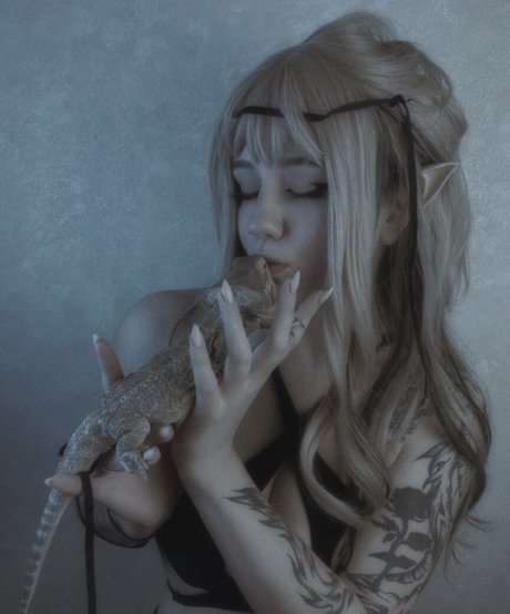 Dolchstosss perfekte nette bild