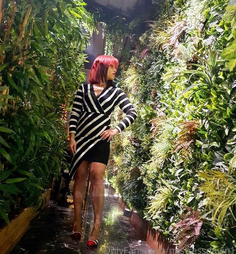 deaktivierte onlyfans top freie archiv