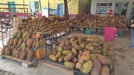 dicke trans-onlyfans sexy heiße bild