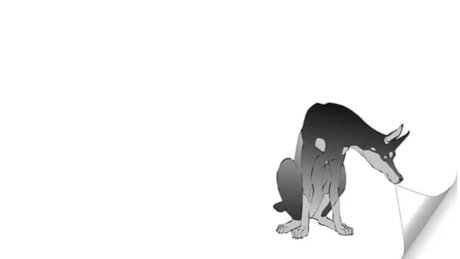 ponie_ sexy kostenlose galerie