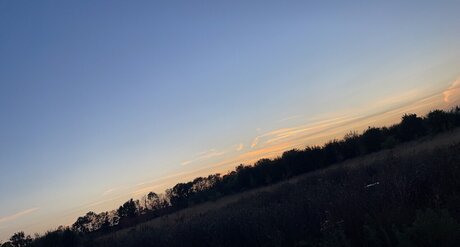 GayCouple22 kunst erwachsene archiv