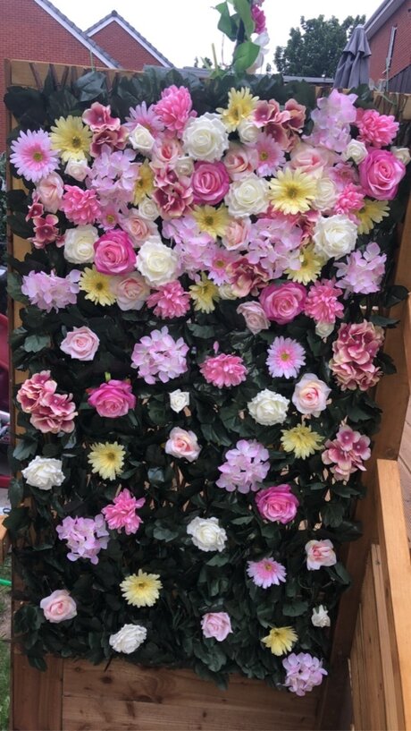 asiatische pawg-onlyfans hd pornografische fotos