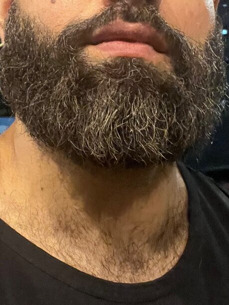 Brazilian big bear heiße beste galerien