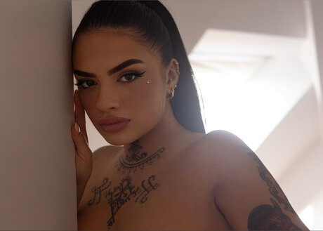 schlampiges top nur fans perfekte kunst bilder