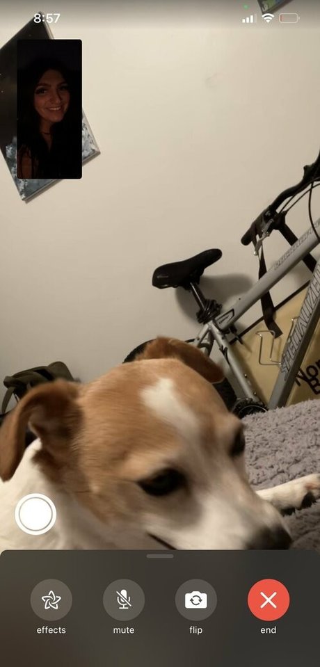 schönes gesicht nur fans kunst top fotos