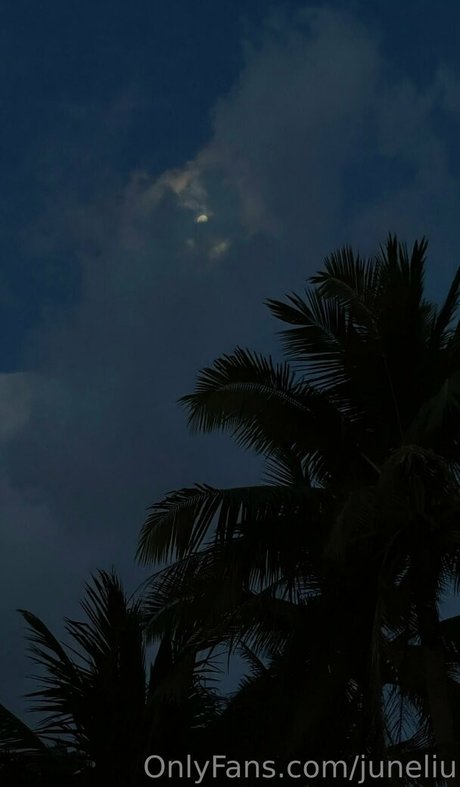 juneliu sexy kostenlose bilder
