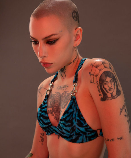 asiatisch kein ppv nur fans kunst hübsche bilder