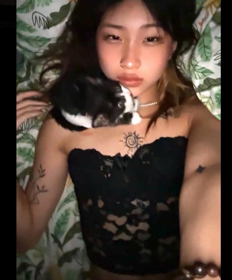 Rache lzh freie xxx galerie