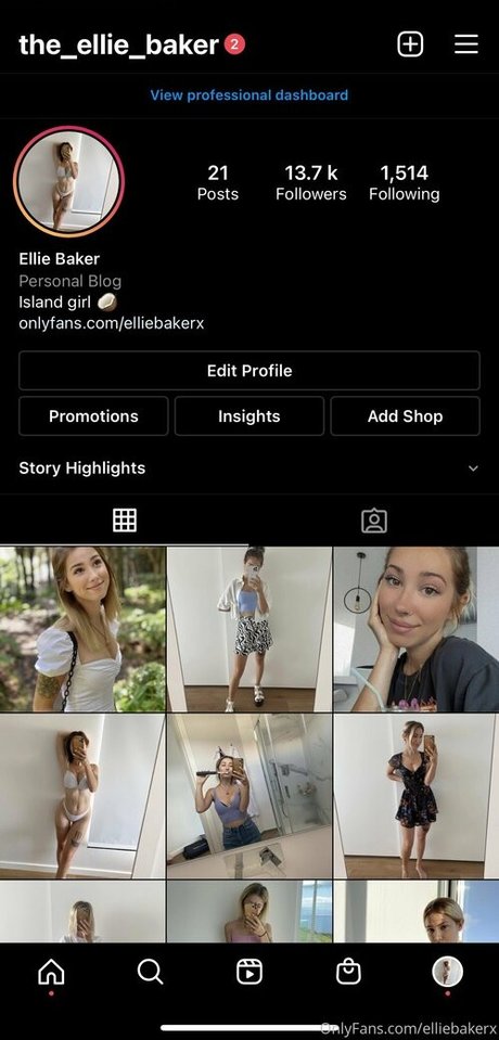 the lani lane pornostar freie bild